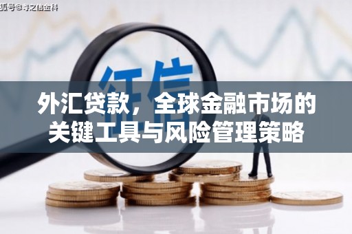 池上外汇贷款，全球金融市场的关键工具与风险管理策略