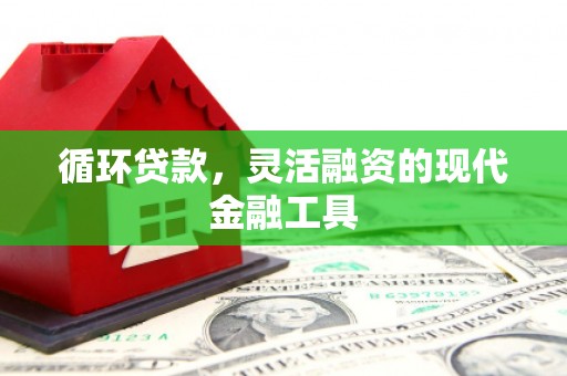 池上循环贷款，灵活融资的现代金融工具