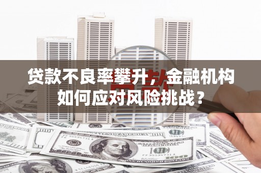 池上贷款不良率攀升，金融机构如何应对风险挑战？