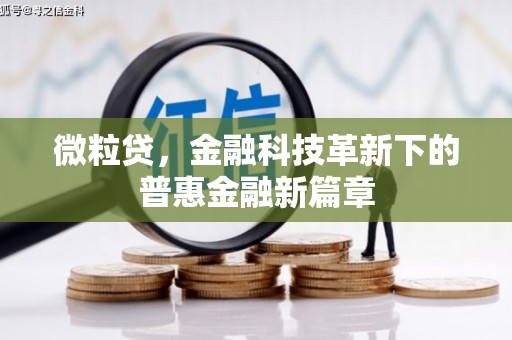 池上微粒贷，金融科技革新下的普惠金融新篇章