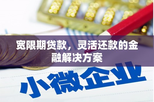池上宽限期贷款，灵活还款的金融解决方案