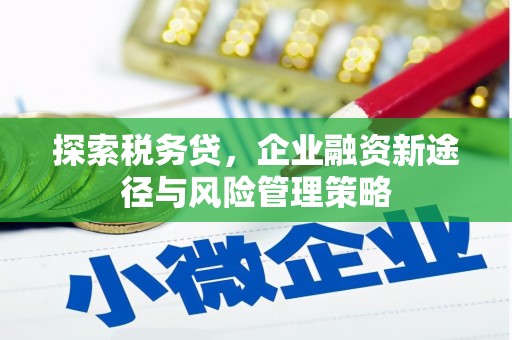 池上探索税务贷，企业融资新途径与风险管理策略