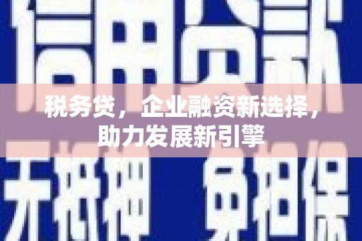 池上税务贷，企业融资新选择，助力发展新引擎