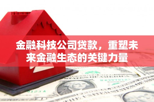 池上金融科技公司贷款，重塑未来金融生态的关键力量