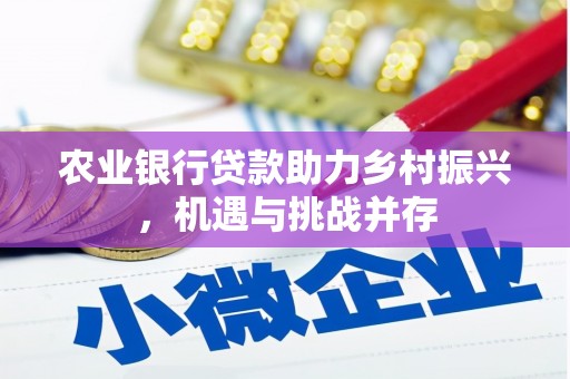 池上农业银行贷款助力乡村振兴，机遇与挑战并存