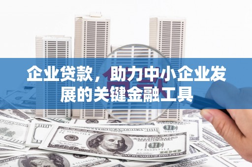池上企业贷款，助力中小企业发展的关键金融工具