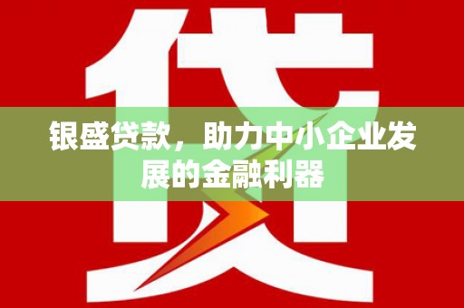 池上银盛贷款，助力中小企业发展的金融利器