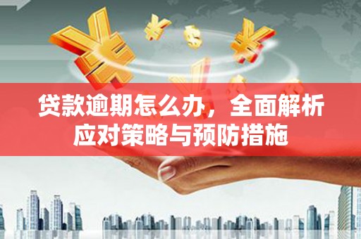 池上贷款逾期怎么办，全面解析应对策略与预防措施