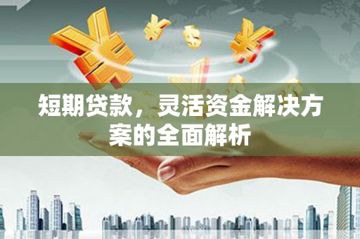 池上短期贷款，灵活资金解决方案的全面解析