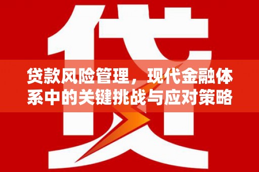 池上贷款风险管理，现代金融体系中的关键挑战与应对策略