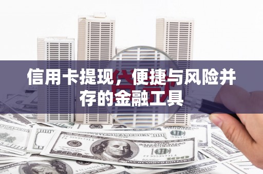池上信用卡提现，便捷与风险并存的金融工具