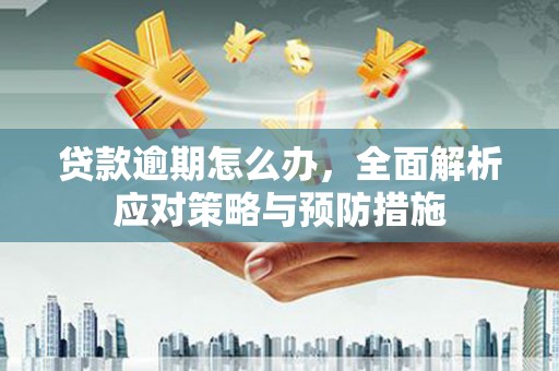 池上贷款逾期怎么办，全面解析应对策略与预防措施