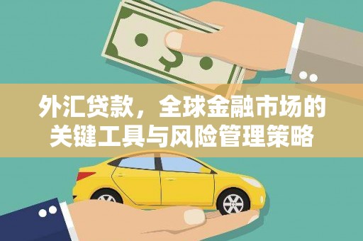 池上外汇贷款，全球金融市场的关键工具与风险管理策略