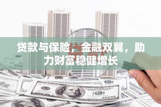 池上贷款与保险，金融双翼，助力财富稳健增长