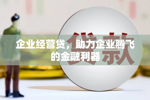 池上企业经营贷，助力企业腾飞的金融利器