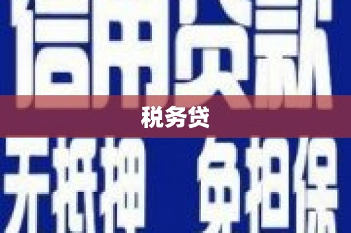 池上税务贷