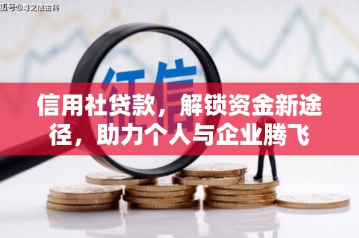 池上信用社贷款，解锁资金新途径，助力个人与企业腾飞
