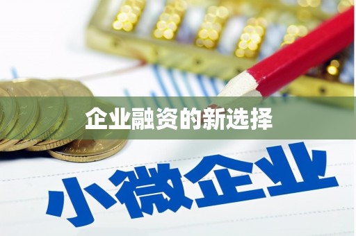 池上企业融资的新选择
