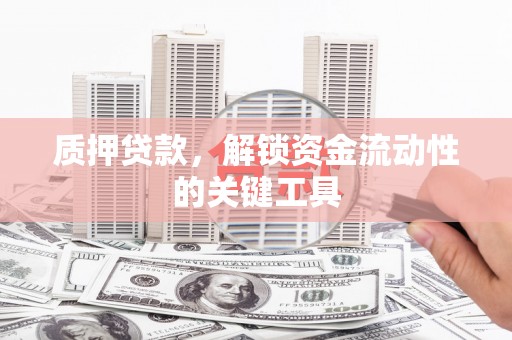 池上质押贷款，解锁资金流动性的关键工具