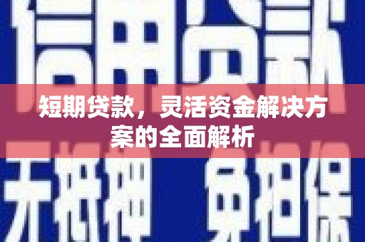 池上短期贷款，灵活资金解决方案的全面解析