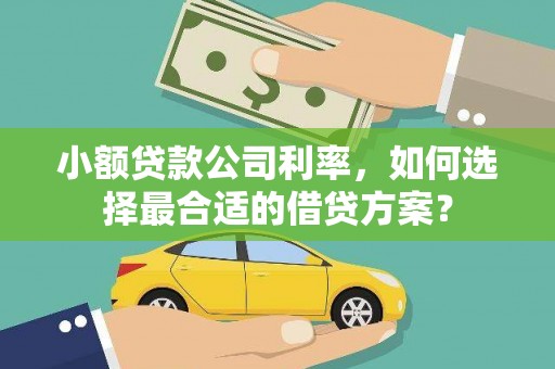 池上小额贷款公司利率，如何选择最合适的借贷方案？