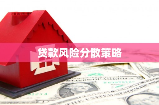 池上贷款风险分散策略