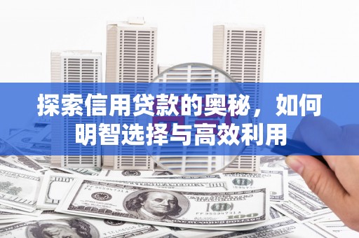 池上探索信用贷款的奥秘，如何明智选择与高效利用