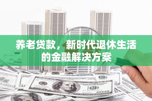 池上养老贷款，新时代退休生活的金融解决方案