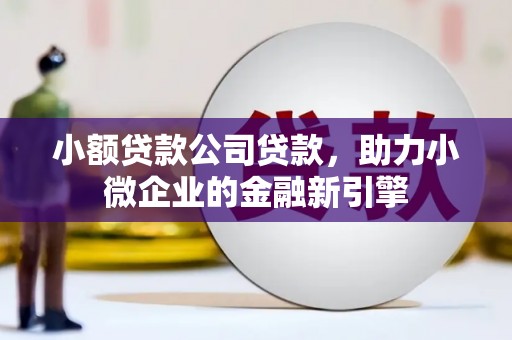 池上小额贷款公司贷款，助力小微企业的金融新引擎