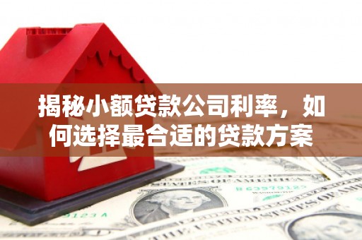 池上揭秘小额贷款公司利率，如何选择最合适的贷款方案