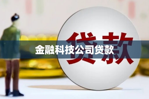 池上金融科技公司贷款