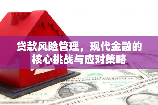 池上贷款风险管理，现代金融的核心挑战与应对策略