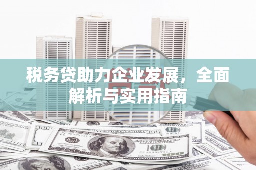池上税务贷助力企业发展，全面解析与实用指南