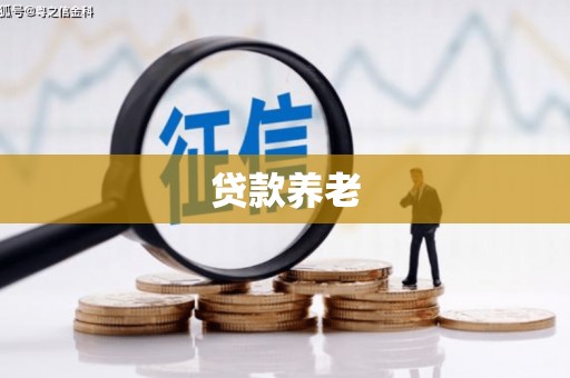 池上贷款养老