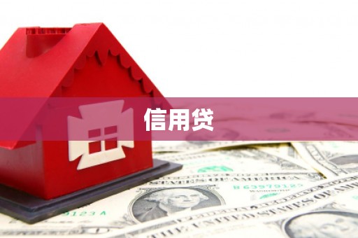 池上信用贷