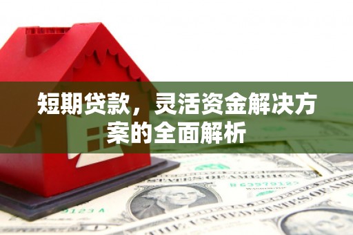 池上短期贷款，灵活资金解决方案的全面解析