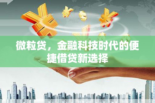 池上微粒贷，金融科技时代的便捷借贷新选择