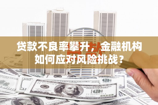 池上贷款不良率攀升，金融机构如何应对风险挑战？