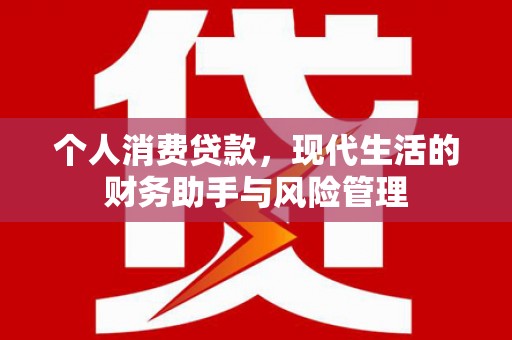 池上个人消费贷款，现代生活的财务助手与风险管理