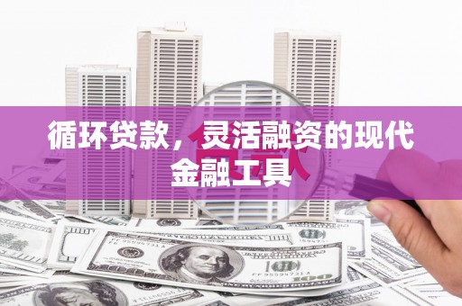 池上循环贷款，灵活融资的现代金融工具