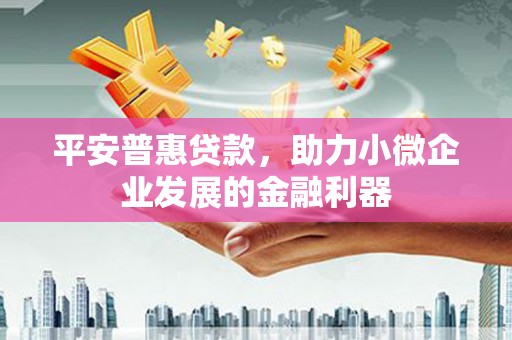 池上平安普惠贷款，助力小微企业发展的金融利器