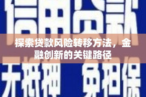池上探索贷款风险转移方法，金融创新的关键路径