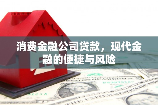 池上消费金融公司贷款，现代金融的便捷与风险