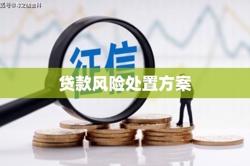池上贷款风险处置方案