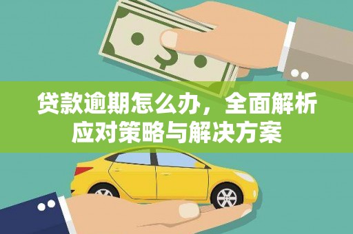 池上贷款逾期怎么办，全面解析应对策略与解决方案