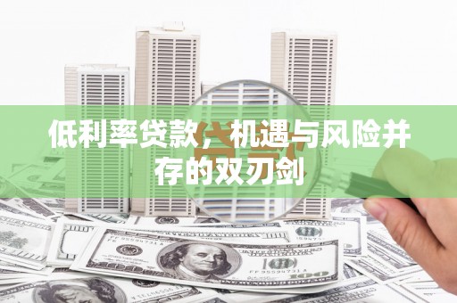 池上低利率贷款，机遇与风险并存的双刃剑