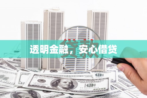 池上透明金融，安心借贷