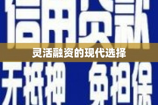 池上灵活融资的现代选择