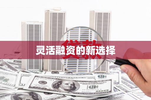 池上灵活融资的新选择