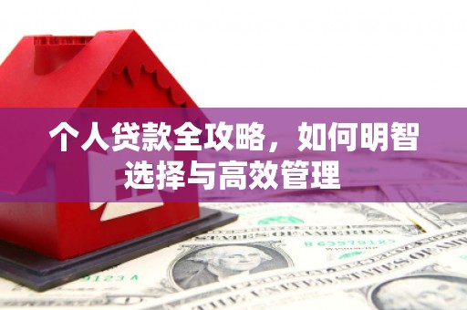 池上个人贷款全攻略，如何明智选择与高效管理